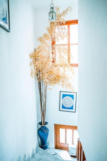 Casa Da Ernesta